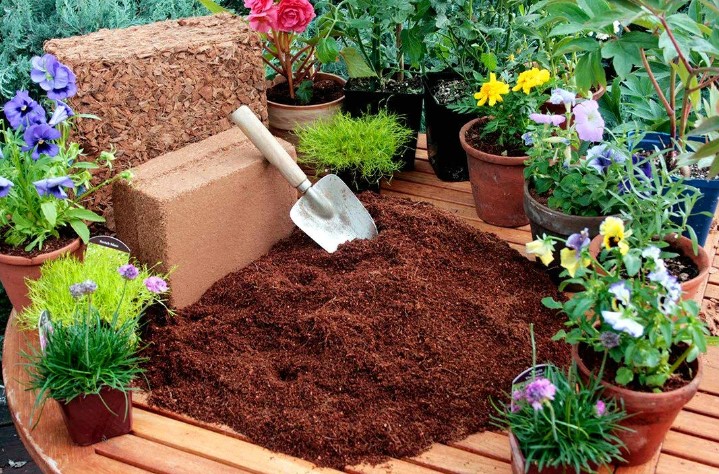 The Ultimate Guide to Coco Peat: Benefits, Uses, and Tips for Gardening Success